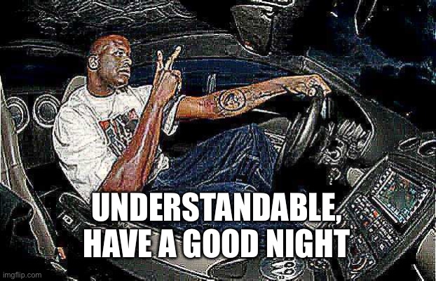 Understandable Have a Great Day but its Blank | UNDERSTANDABLE, HAVE A GOOD NIGHT | image tagged in understandable have a great day but its blank | made w/ Imgflip meme maker