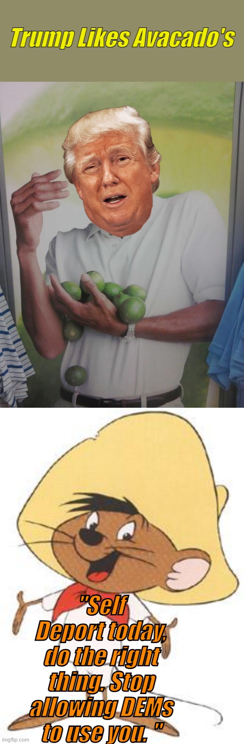 Listen to Speedy, your breaking US immigration laws. | Trump Likes Avacado's; "Self Deport today, do the right thing. Stop allowing DEMs to use you. " | image tagged in memes,why can't i hold all these limes,speedy | made w/ Imgflip meme maker