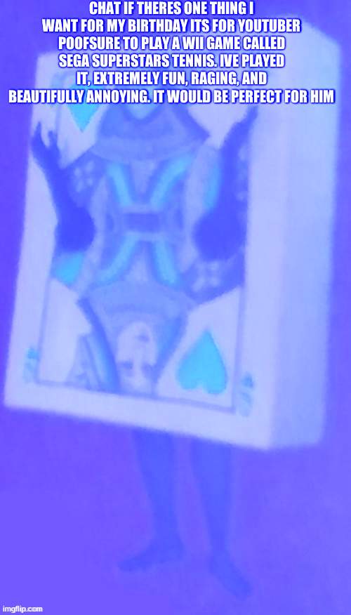 The card lady | CHAT IF THERES ONE THING I WANT FOR MY BIRTHDAY ITS FOR YOUTUBER POOFSURE TO PLAY A WII GAME CALLED SEGA SUPERSTARS TENNIS. IVE PLAYED IT, EXTREMELY FUN, RAGING, AND BEAUTIFULLY ANNOYING. IT WOULD BE PERFECT FOR HIM | image tagged in the card lady | made w/ Imgflip meme maker