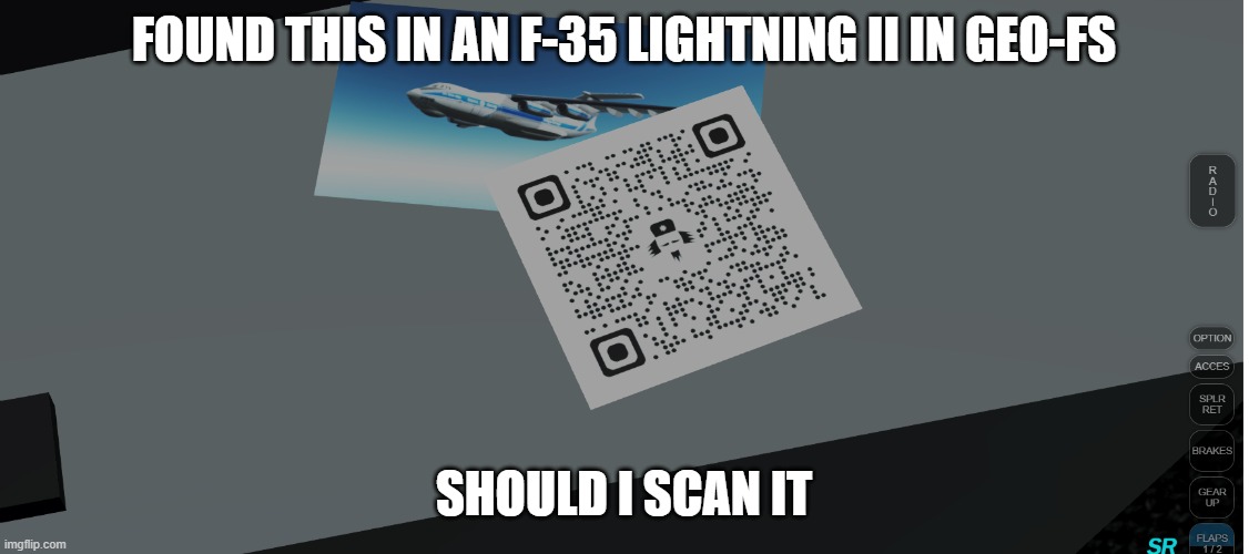 FOUND THIS IN AN F-35 LIGHTNING II IN GEO-FS; SHOULD I SCAN IT | made w/ Imgflip meme maker