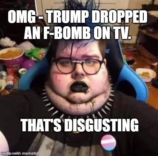 Strong Language | OMG - TRUMP DROPPED 
AN F-BOMB ON TV. THAT'S DISGUSTING | image tagged in average leftist | made w/ Imgflip meme maker