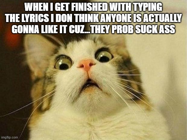 Scared Cat Meme | WHEN I GET FINISHED WITH TYPING THE LYRICS I DON THINK ANYONE IS ACTUALLY GONNA LIKE IT CUZ...THEY PROB SUCK ASS | image tagged in memes,scared cat,sans of topic | made w/ Imgflip meme maker
