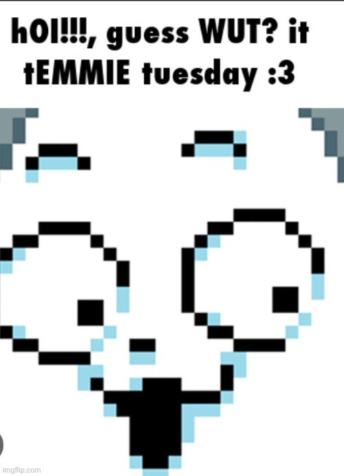 [no title needed] | image tagged in temmie | made w/ Imgflip meme maker