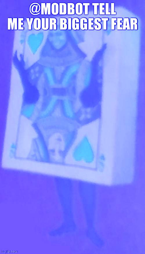 The card lady | @MODBOT TELL ME YOUR BIGGEST FEAR | image tagged in the card lady | made w/ Imgflip meme maker