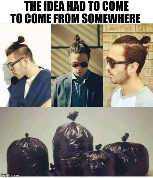 The Idea Had To Come From Somewhere | THE IDEA HAD TO COME TO COME FROM SOMEWHERE | image tagged in chris joines | made w/ Imgflip meme maker