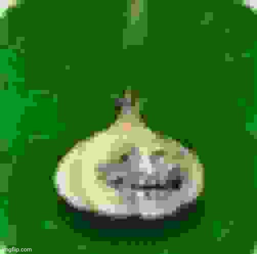 https://imgflip.com/gif/9geor3 | image tagged in troll garlic | made w/ Imgflip meme maker