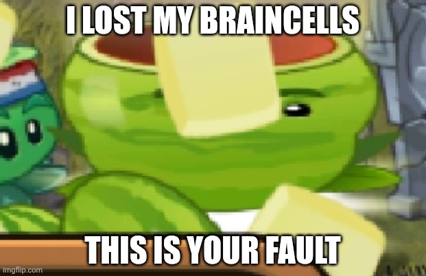 I LOST MY BRAINCELLS THIS IS YOUR FAULT | image tagged in melon-pult no brain | made w/ Imgflip meme maker