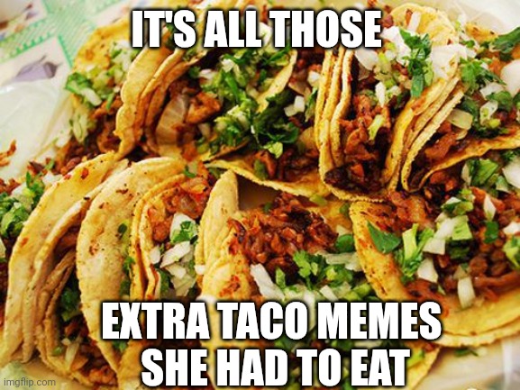 Tacos | IT'S ALL THOSE EXTRA TACO MEMES 
SHE HAD TO EAT | image tagged in tacos | made w/ Imgflip meme maker