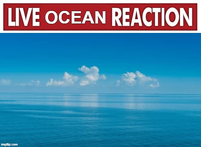 Something seems fishy here. Water you on about? I just can't sea it. Could you be more pacific with me? | image tagged in water puns,live ocean reaction,live reaction | made w/ Imgflip meme maker