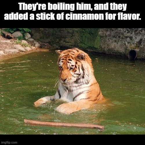 Tiger with Cinnamon | They're boiling him, and they added a stick of cinnamon for flavor. | image tagged in black square,tiger,cinnamon,joke | made w/ Imgflip meme maker