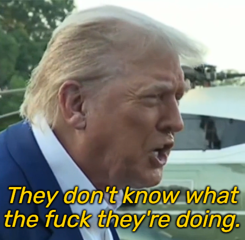 High Quality Trump - They don't know what the fuck they're doing. Blank Meme Template