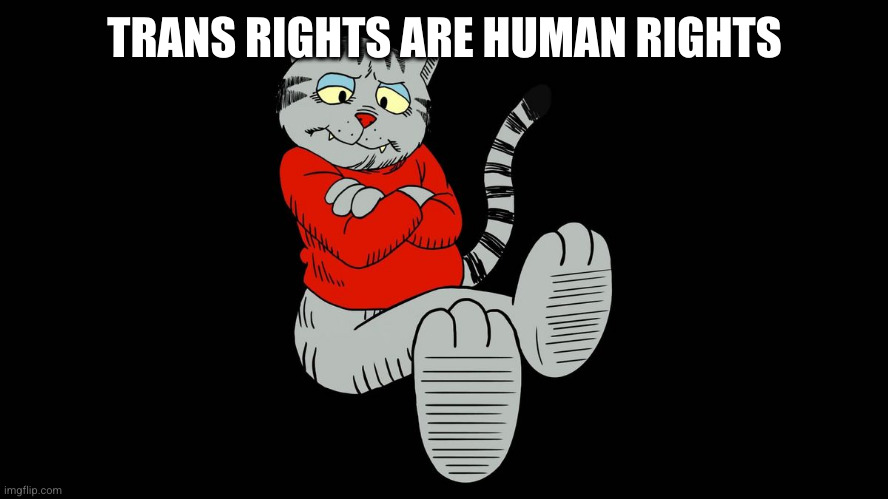 Fritz the cat | TRANS RIGHTS ARE HUMAN RIGHTS | image tagged in fritz the cat | made w/ Imgflip meme maker