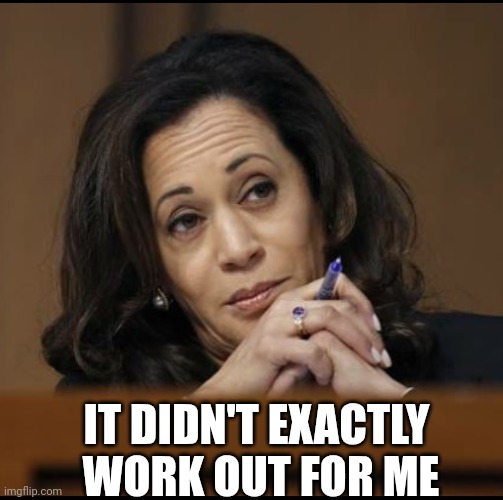 Kamala Harris  | IT DIDN'T EXACTLY
 WORK OUT FOR ME | image tagged in kamala harris | made w/ Imgflip meme maker