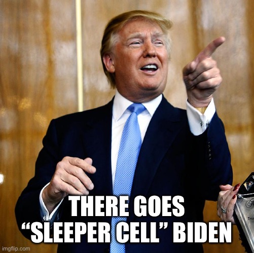 THERE GOES “SLEEPER CELL” BIDEN | image tagged in donal trump birthday | made w/ Imgflip meme maker
