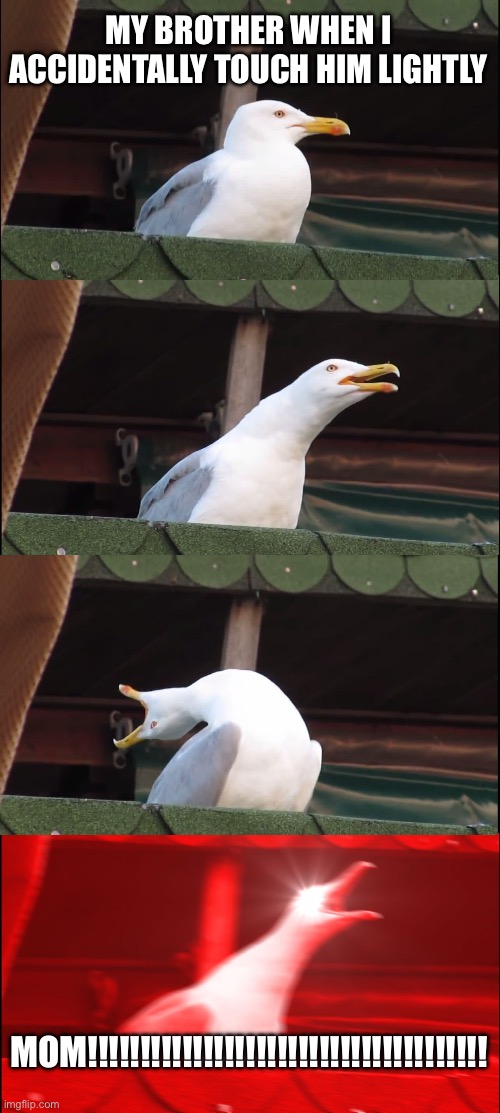 Seriously. | MY BROTHER WHEN I ACCIDENTALLY TOUCH HIM LIGHTLY; MOM!!!!!!!!!!!!!!!!!!!!!!!!!!!!!!!!!!!!!! | image tagged in memes,inhaling seagull | made w/ Imgflip meme maker