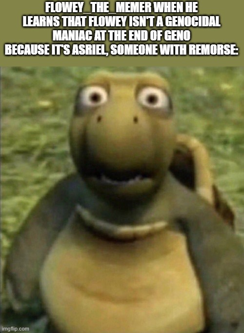 shocked turtle | FLOWEY_THE_MEMER WHEN HE LEARNS THAT FLOWEY ISN'T A GENOCIDAL MANIAC AT THE END OF GENO BECAUSE IT'S ASRIEL, SOMEONE WITH REMORSE: | image tagged in shocked turtle | made w/ Imgflip meme maker