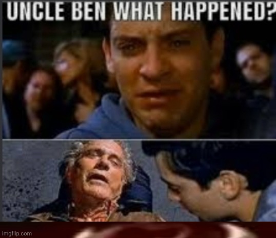 ㅤ | image tagged in uncle ben what happened | made w/ Imgflip meme maker