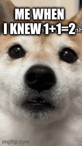 Bruh | ME WHEN I KNEW 1+1=2 | image tagged in gifs,funny memes,lol so funny,bruh | made w/ Imgflip images-to-gif maker