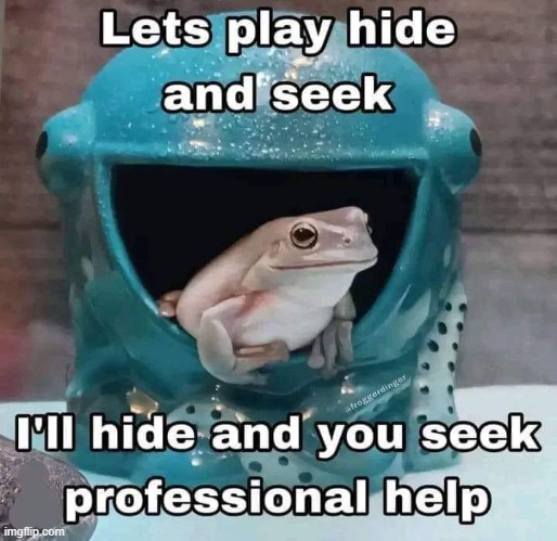 image tagged in hide and seek | made w/ Imgflip meme maker