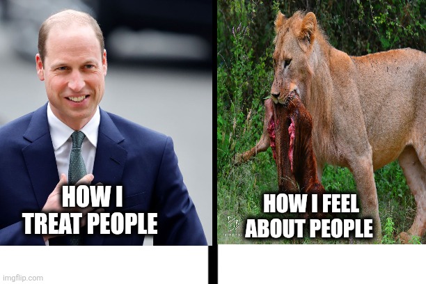 People suck | HOW I FEEL ABOUT PEOPLE; HOW I TREAT PEOPLE | image tagged in split | made w/ Imgflip meme maker