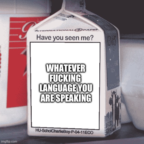 Missing Person | WHATEVER FUCKING 
LANGUAGE YOU ARE SPEAKING | image tagged in missing person | made w/ Imgflip meme maker