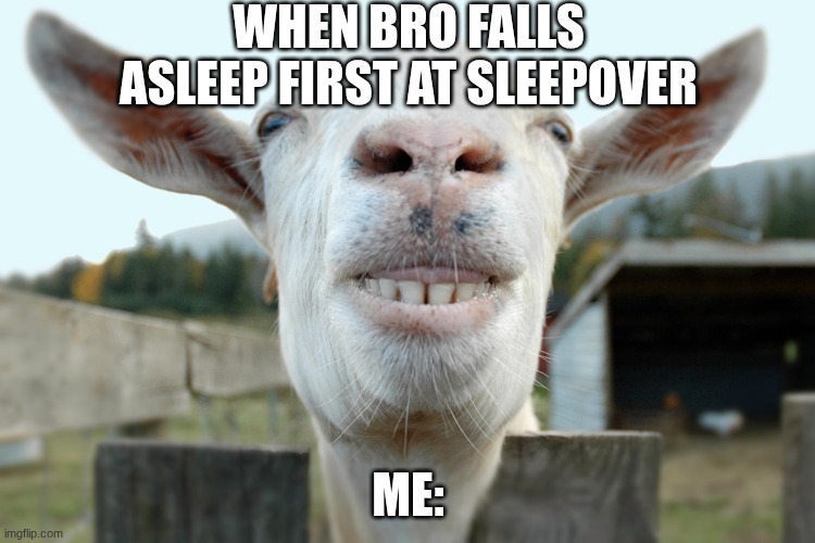 Sleep | WHEN BRO FALLS ASLEEP FIRST AT SLEEPOVER; ME: | image tagged in goat | made w/ Imgflip meme maker