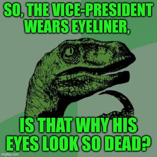 Philosoraptor | SO, THE VICE-PRESIDENT WEARS EYELINER, IS THAT WHY HIS EYES LOOK SO DEAD? | image tagged in memes,philosoraptor | made w/ Imgflip meme maker