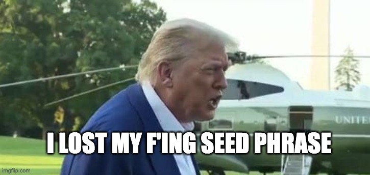lost my seed phrase | I LOST MY F'ING SEED PHRASE | image tagged in fing | made w/ Imgflip meme maker