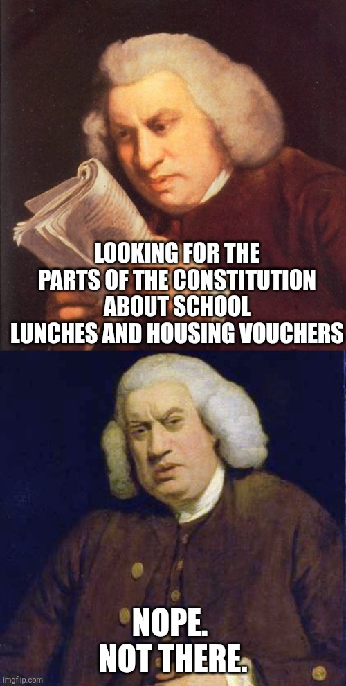 wtf am I reading | LOOKING FOR THE PARTS OF THE CONSTITUTION ABOUT SCHOOL LUNCHES AND HOUSING VOUCHERS NOPE.  NOT THERE. | image tagged in wtf am i reading | made w/ Imgflip meme maker