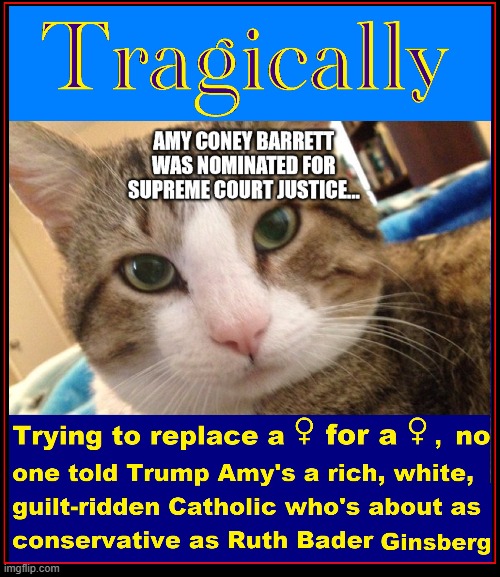 True Colors: Who coulda known? | image tagged in vince vance,amy coney barrett,ruth bader ginsburg,scotus,gender,females | made w/ Imgflip meme maker