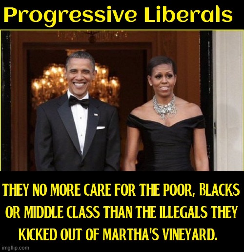 You low class people wouldn't like caviar, anyway... | image tagged in vince vance,rich people,illegal immigrants,memes,martha,vineyard | made w/ Imgflip meme maker