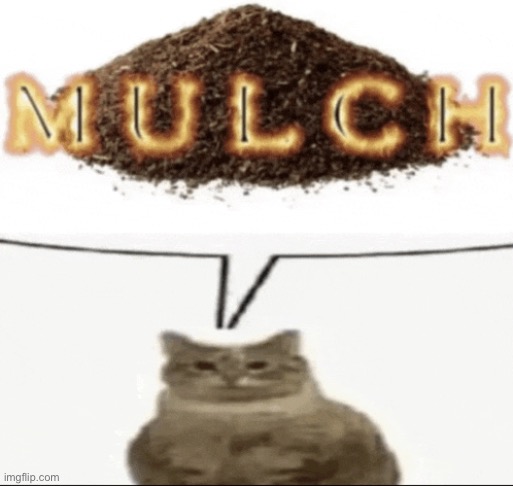 my body is full of MULCH | made w/ Imgflip meme maker