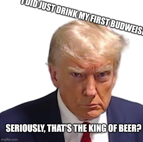SERIOUSLY, THAT'S THE KING OF BEER? I DID JUST DRINK MY FIRST BUDWEISER | image tagged in trump mugshot | made w/ Imgflip meme maker