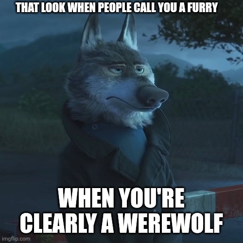 Not a furry | THAT LOOK WHEN PEOPLE CALL YOU A FURRY; WHEN YOU'RE CLEARLY A WEREWOLF | image tagged in zootopia wolf | made w/ Imgflip meme maker