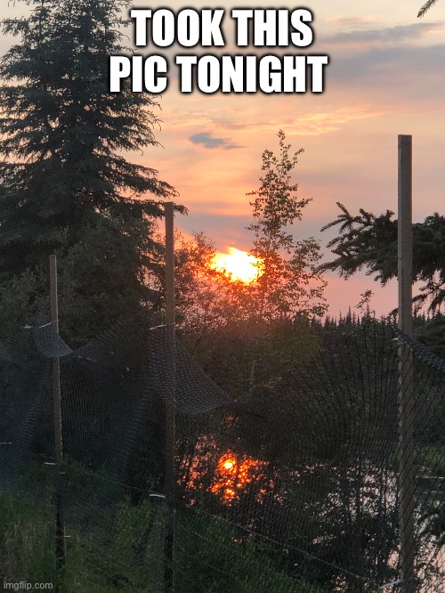 No title needed | TOOK THIS PIC TONIGHT | image tagged in sunset | made w/ Imgflip meme maker