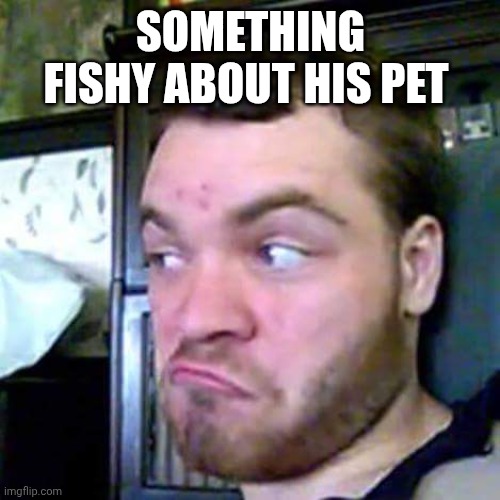 Something Fishy | SOMETHING FISHY ABOUT HIS PET | image tagged in something fishy | made w/ Imgflip meme maker