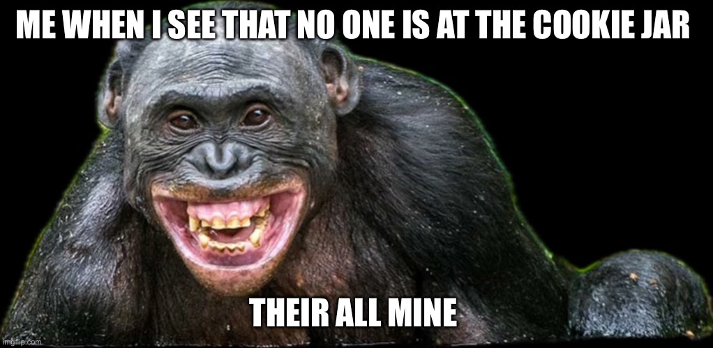 ME WHEN I SEE THAT NO ONE IS AT THE COOKIE JAR; THEIR ALL MINE | made w/ Imgflip meme maker