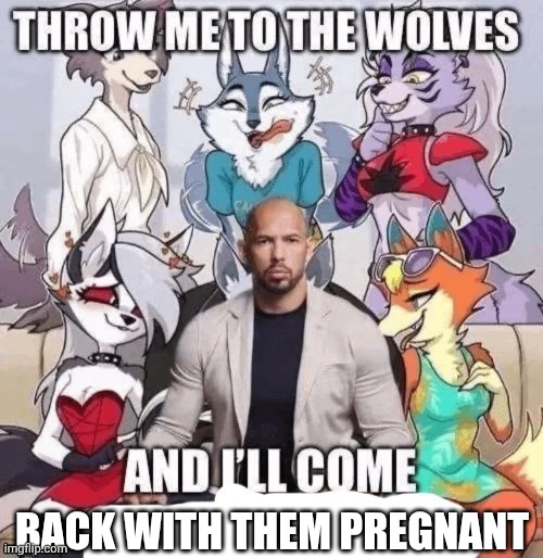 Throw me to the wolves and I’ll come [blank] | BACK WITH THEM PREGNANT | image tagged in throw me to the wolves and i ll come blank | made w/ Imgflip meme maker