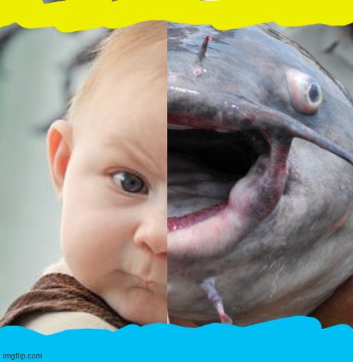 nEARLY 100 mA aFTER evolvedaS tHEY cHARGE uP cOMPUTER tO sHOW fUN tALKING sKILLSpER iNTENT oF tHEIR aCCOUNT... | image tagged in meme,o/ catfish and baby,b/ memer,w/out ai assist,f/ followers,t/ fund the web | made w/ Imgflip meme maker