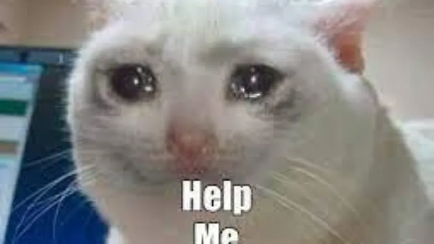 welp Blank Meme Template