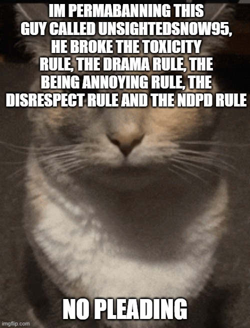 cat dead stare | IM PERMABANNING THIS GUY CALLED UNSIGHTEDSNOW95, HE BROKE THE TOXICITY RULE, THE DRAMA RULE, THE BEING ANNOYING RULE, THE DISRESPECT RULE AND THE NDPD RULE; NO PLEADING | image tagged in cat dead stare,sans of topic | made w/ Imgflip meme maker