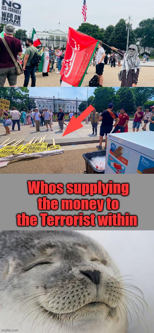 Whos supplying the money to the Terrorist within | image tagged in memes,satisfied seal | made w/ Imgflip meme maker