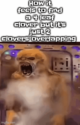Clever title | How it feels to find a 4 leaf clover but it's just 2 clovers overlapping | image tagged in gifs,memes,oh wow are you actually reading these tags,you have been eternally cursed for reading the tags,plant,bad luck | made w/ Imgflip video-to-gif maker