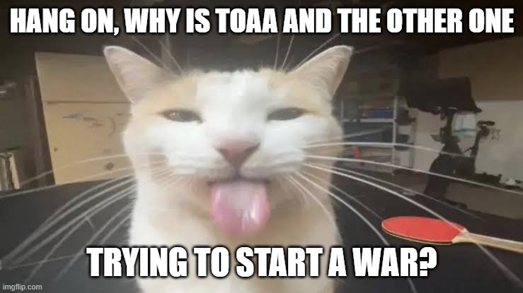 I checked all of the posts but still have no idea. | HANG ON, WHY IS TOAA AND THE OTHER ONE; TRYING TO START A WAR? | image tagged in milly the silly cat bleh cat | made w/ Imgflip meme maker