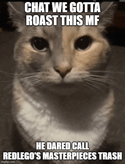 link in comments | CHAT WE GOTTA ROAST THIS MF; HE DARED CALL REDLEGO'S MASTERPIECES TRASH | image tagged in cat dead stare,sans of topic | made w/ Imgflip meme maker