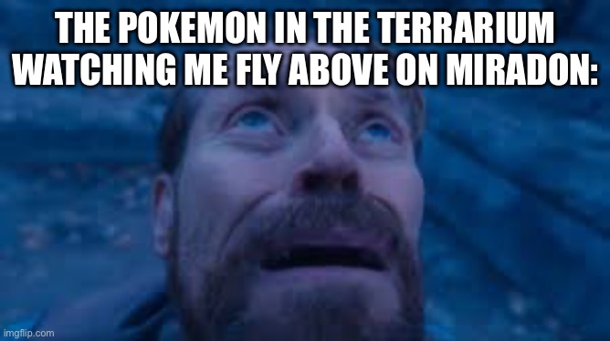 *jet sound.mp3* | THE POKEMON IN THE TERRARIUM WATCHING ME FLY ABOVE ON MIRADON: | image tagged in willen dafoe looking up image | made w/ Imgflip meme maker