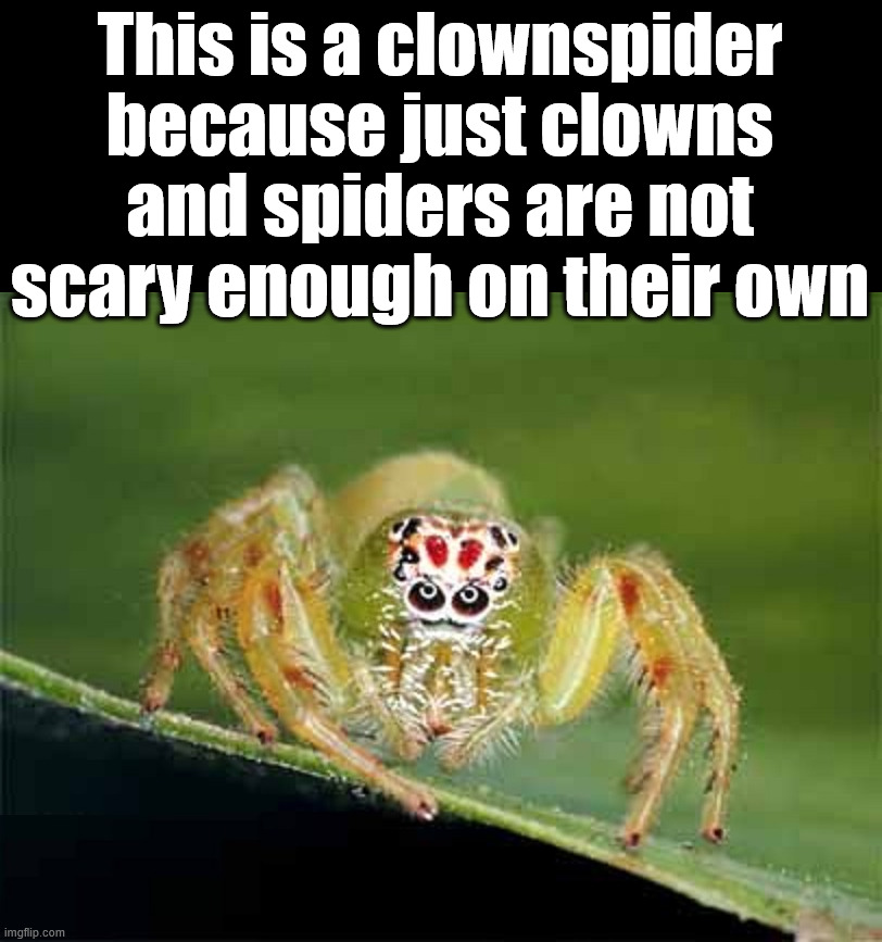 Sometimes combining things are not good | This is a clownspider because just clowns and spiders are not scary enough on their own | image tagged in spiders,clowns,scary,combo | made w/ Imgflip meme maker