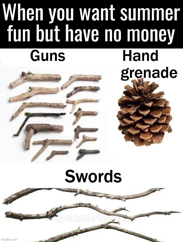 Being one with nature | When you want summer fun but have no money; Guns              Hand 
                          grenade; Swords | image tagged in toys,natural,having fun,summer time | made w/ Imgflip meme maker
