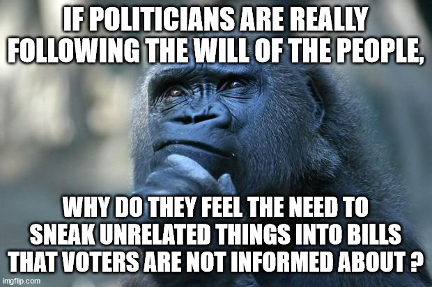 Sneaky Politicians | IF POLITICIANS ARE REALLY FOLLOWING THE WILL OF THE PEOPLE, WHY DO THEY FEEL THE NEED TO SNEAK UNRELATED THINGS INTO BILLS THAT VOTERS ARE NOT INFORMED ABOUT ? | image tagged in deep thoughts,sneaky,dishonest,questionable motives,corrupt,political favors | made w/ Imgflip meme maker