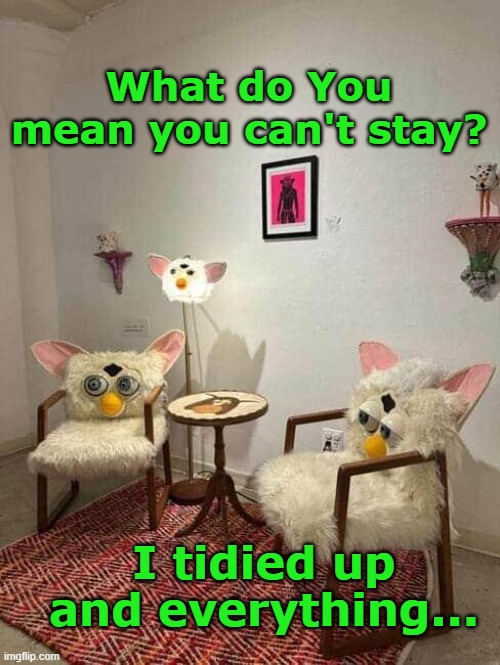 Weird rooms | What do You mean you can't stay? I tidied up and everything... | image tagged in fun | made w/ Imgflip meme maker
